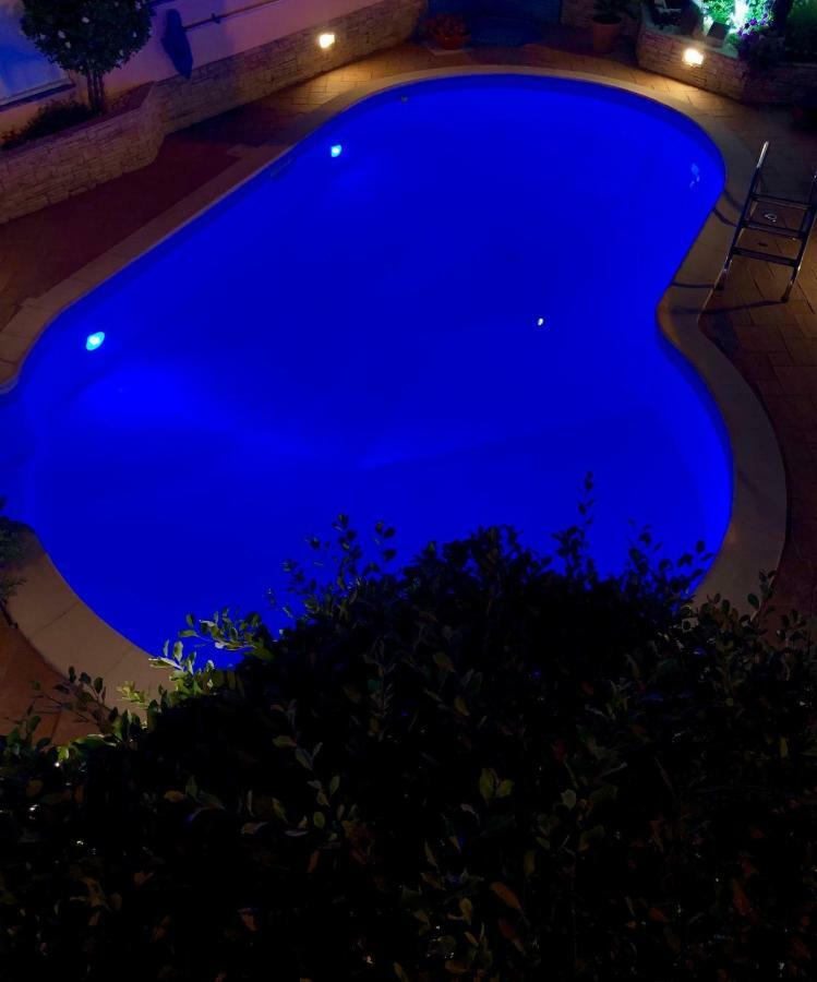 Casa Golfinho Villa Viana do Castelo Eksteriør billede